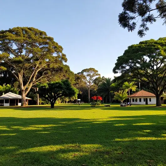 Descubra a Quinta das Tarumãs Descubra a Quinta das Tarumãs