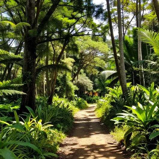 Descubra a Reserva Biológica do Lami