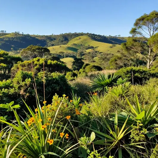 Descubra a Reserva Ecológica Picada Verão Descubra a Reserva Ecológica Picada Verão