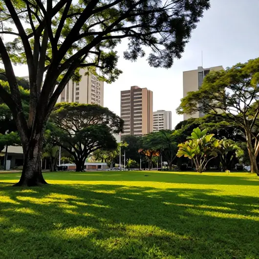 Descubra a Reserva Petrópolis Descubra a Reserva Petrópolis