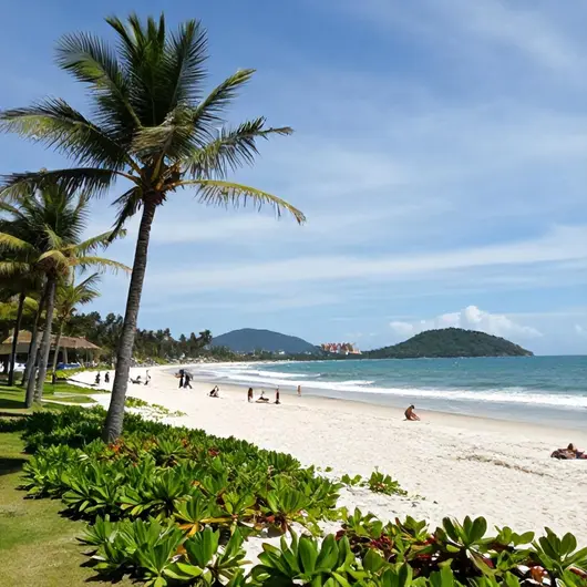 Descubra Gravata Beach