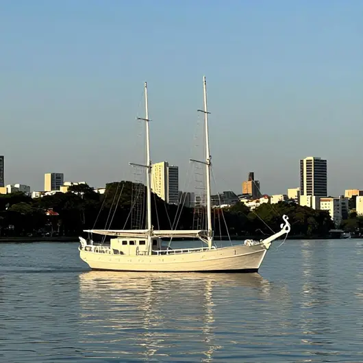 Descubra o Barco Cisne Branco