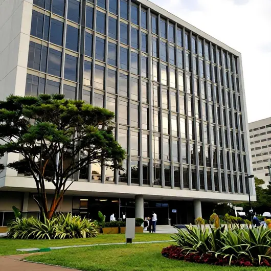 Descubra o Instituto CEOS Descubra o Instituto CEOS