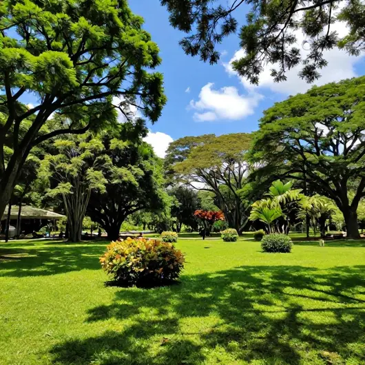 Descubra o Parque da Floresta