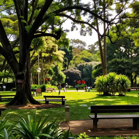 Descubra o Parque Floresta Encantada