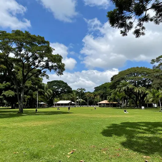 Descubra o Parque Vila Germânica