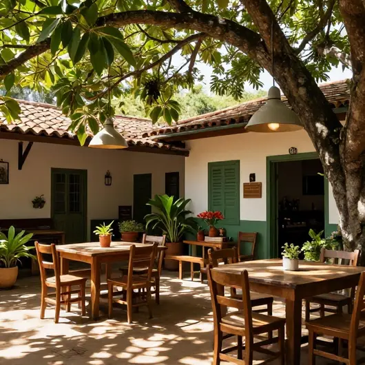Descubra o Quintal de Casa Descubra o Quintal de Casa