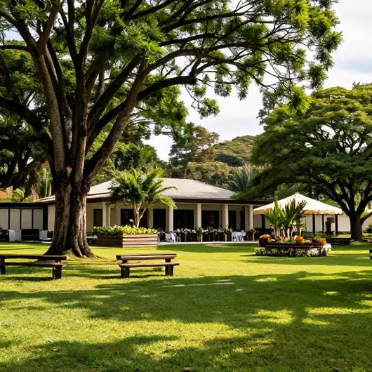 Descubra o Recanto do Belém novo