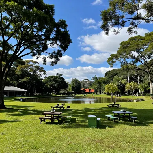 Descubra o Sitio do Beto