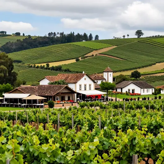 Descubra o Vale dos Vinhedos Descubra o Vale dos Vinhedos