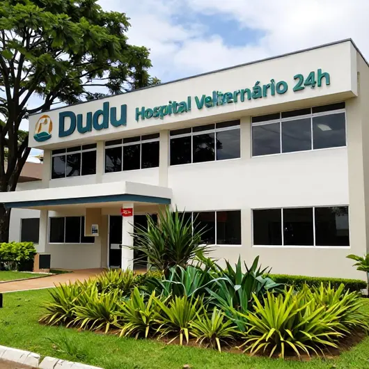 Dudu Hospital Veterinário 24h