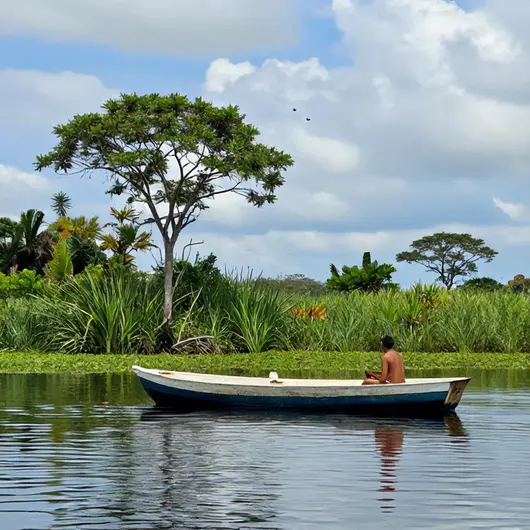 Explorando o Delta do Jacuí: O Melhor Passeio de Barco em Porto Alegre Explorando o Delta do Jacuí: O Melhor Passeio de Barco em Porto Alegre