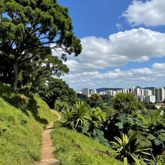 Explorando o Morro das Abertas
