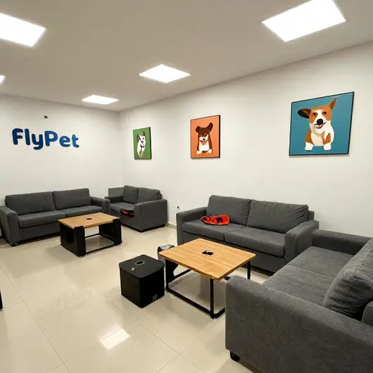 FlyPet