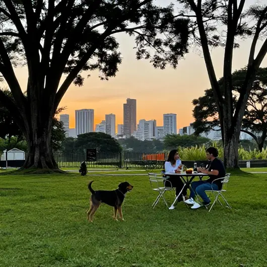 Melhores opções de turismo com animais em Porto Alegre: 20 escolhas recomendadas
