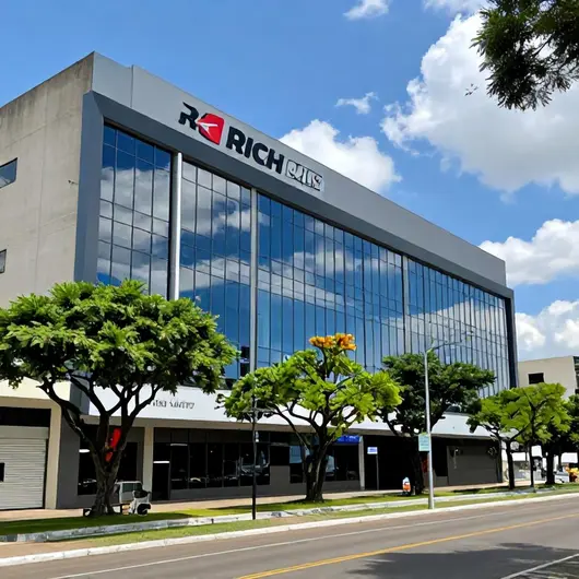 Rich Cars Transporte Executivo: Conforto e Praticidade em Transporte