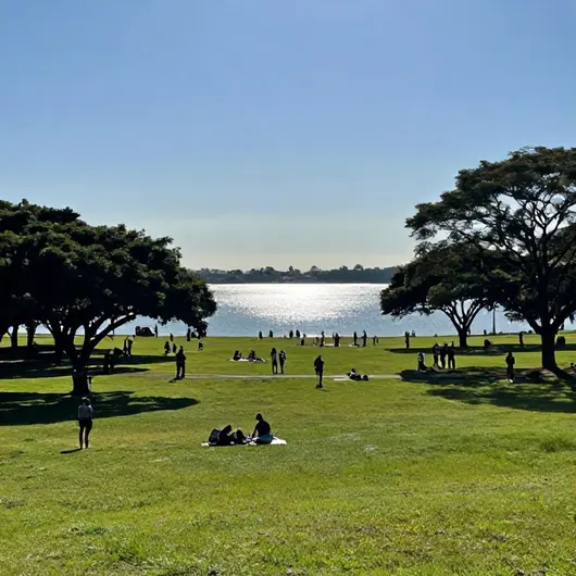 Tudo Sobre o Parque Marinha do Brasil