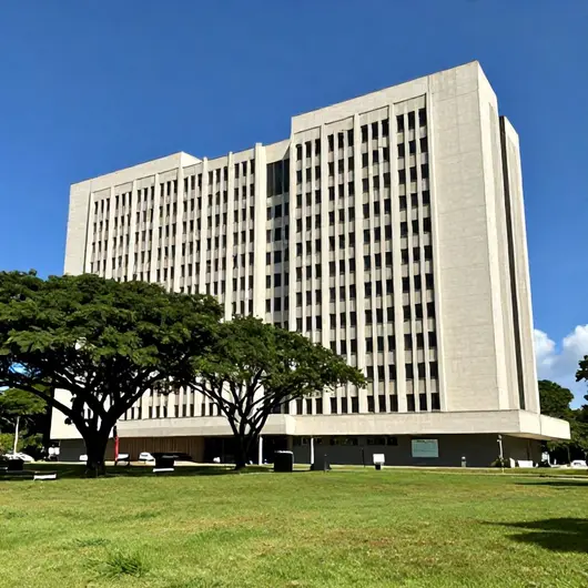 Universidade Federal de Ciências da Saúde de Porto Alegre Universidade Federal de Ciências da Saúde de Porto Alegre