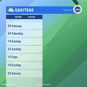 previsão de pautas