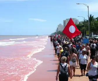 caminhada em apoio a Lula